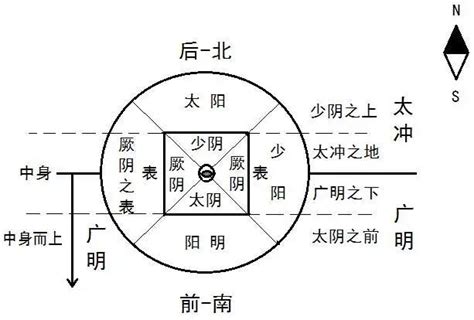 陰陽相成|陰陽離合論:理論解析,典籍記載,原文,譯文,理論內容,